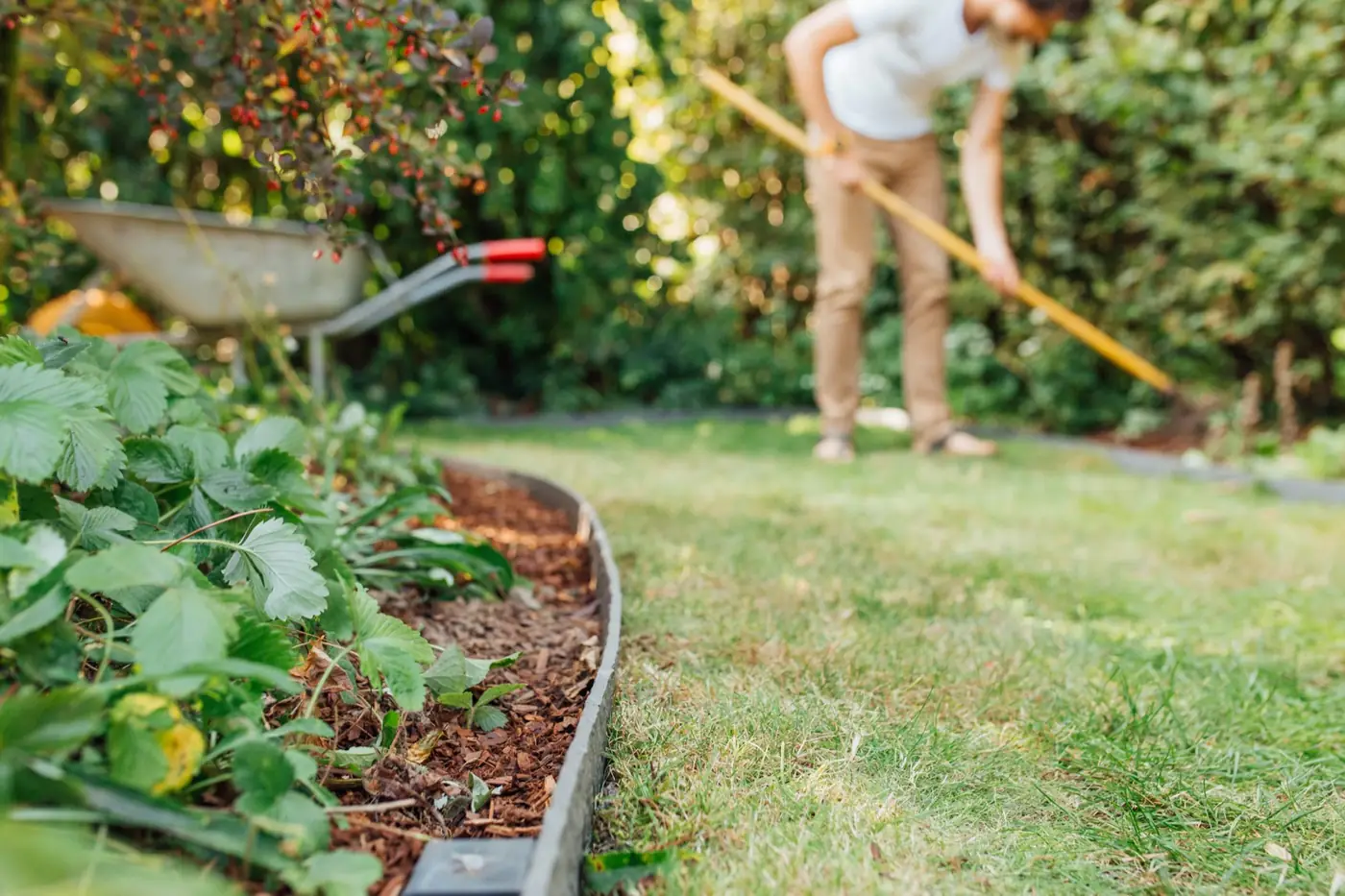 Lawn Borders
